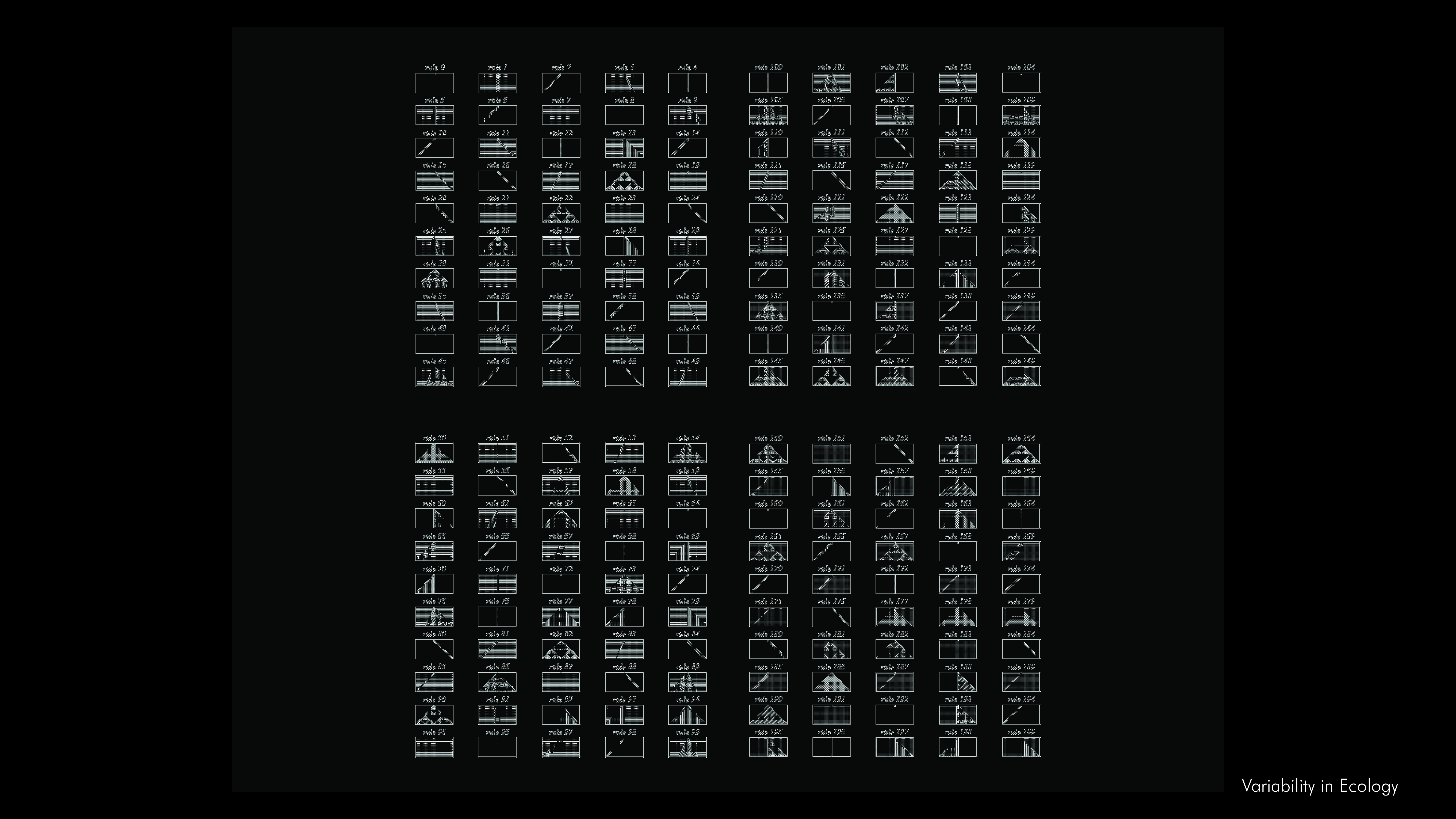 particle behaviour