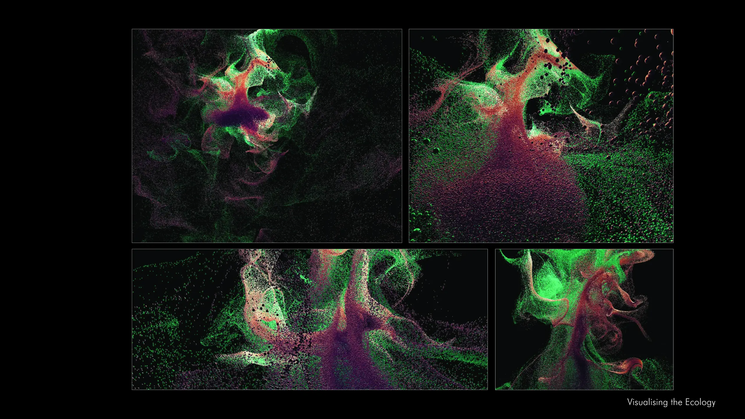 particle behaviour