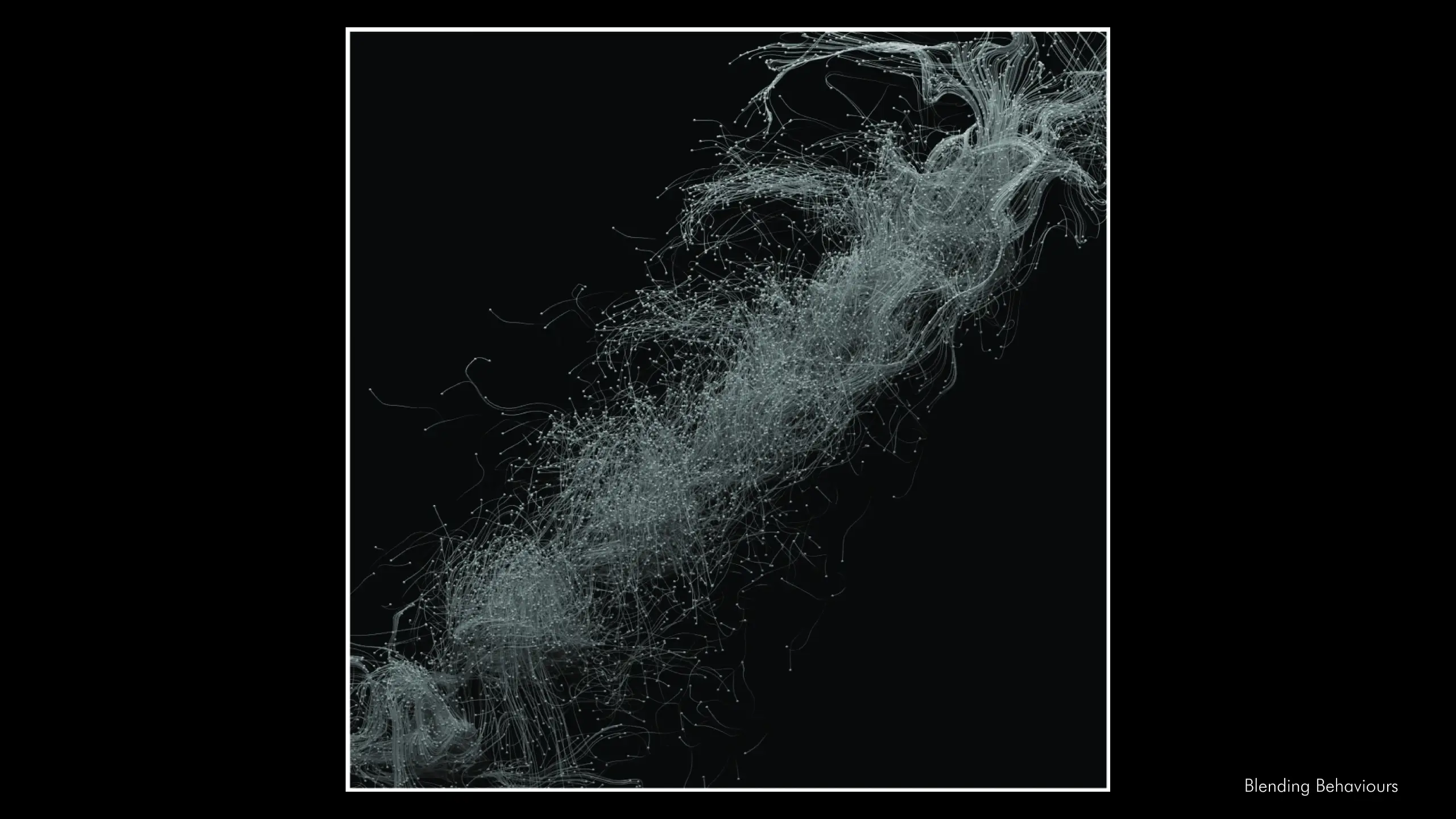 particle behaviour